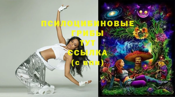 гашик Алексеевка