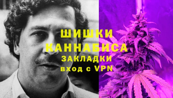 спайс Алексин