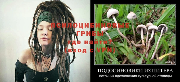 спайс Алексин