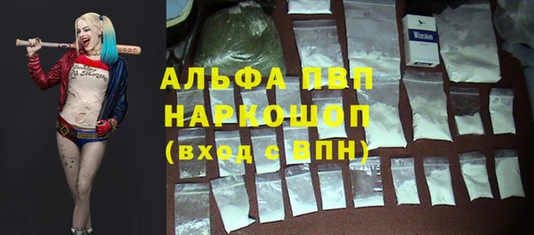 гашик Алексеевка