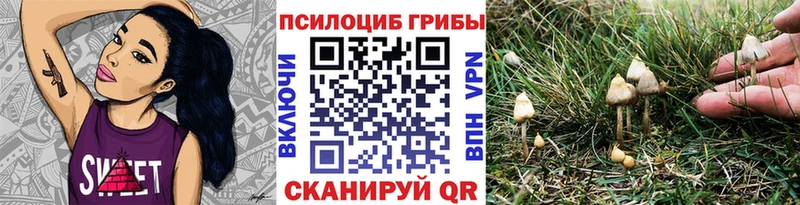 хочу наркоту  Усмань  это какой сайт  Псилоцибиновые грибы Cubensis 
